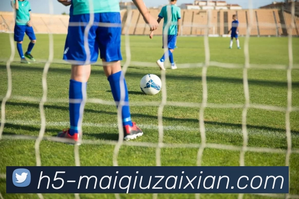 在线买球平台生态图