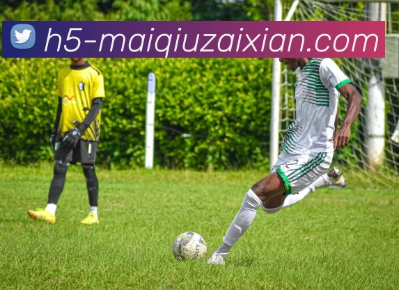 在线买球APP 封面图